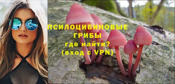 шишки Верхнеуральск