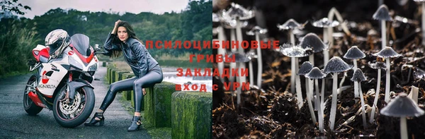 шишки Верхнеуральск